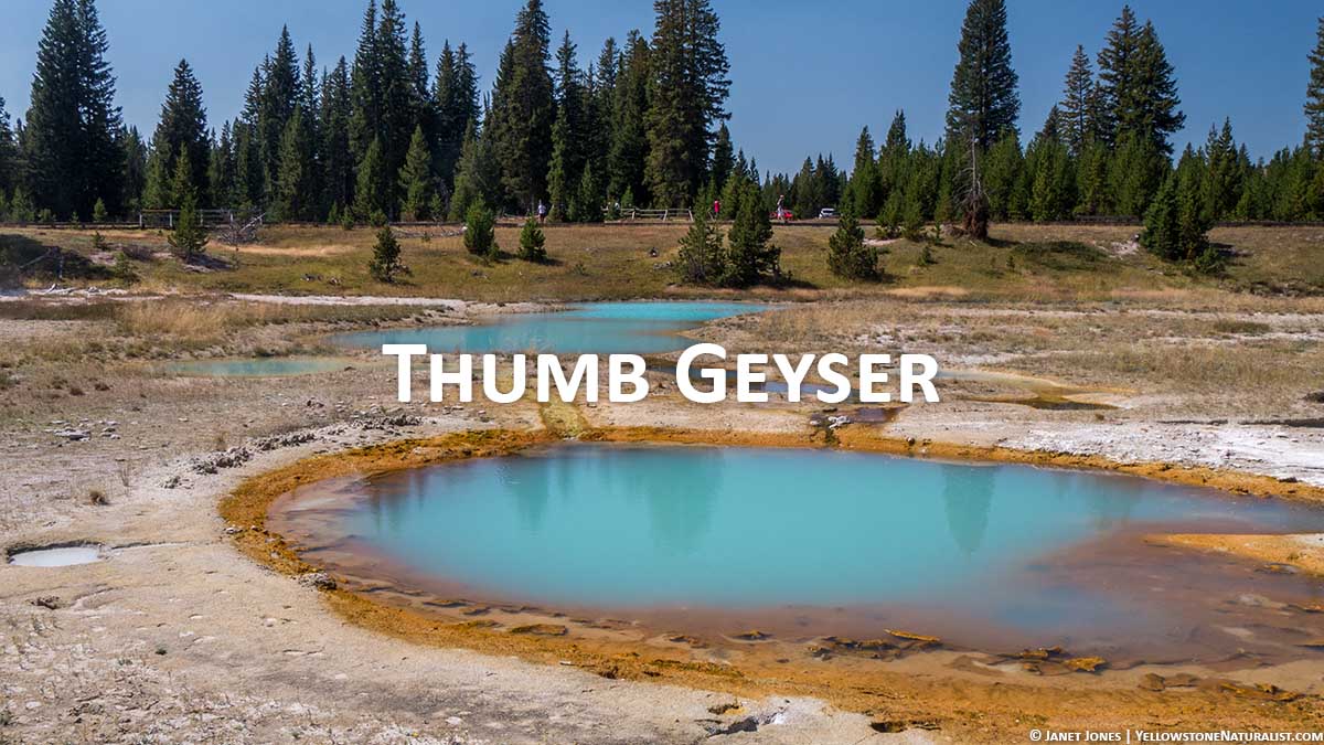 Thumb Geyser