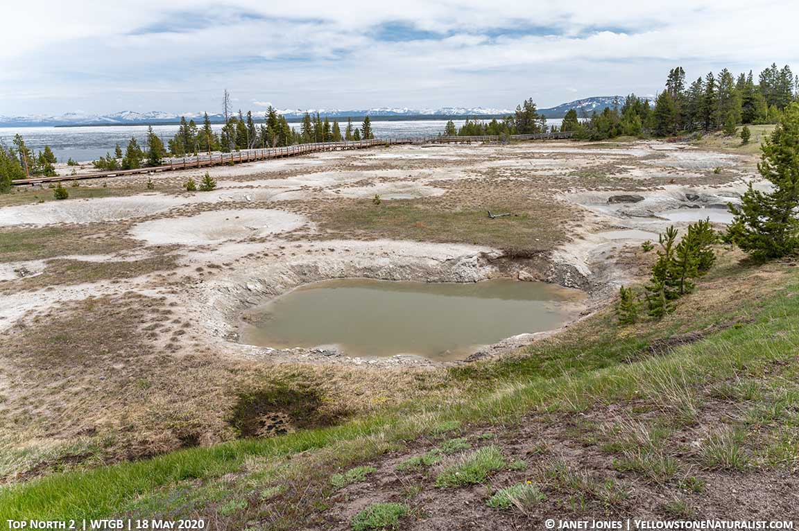 Unnamed Thermal Features in the Top North area of West Thumb Geyser Basin 18 May 2020