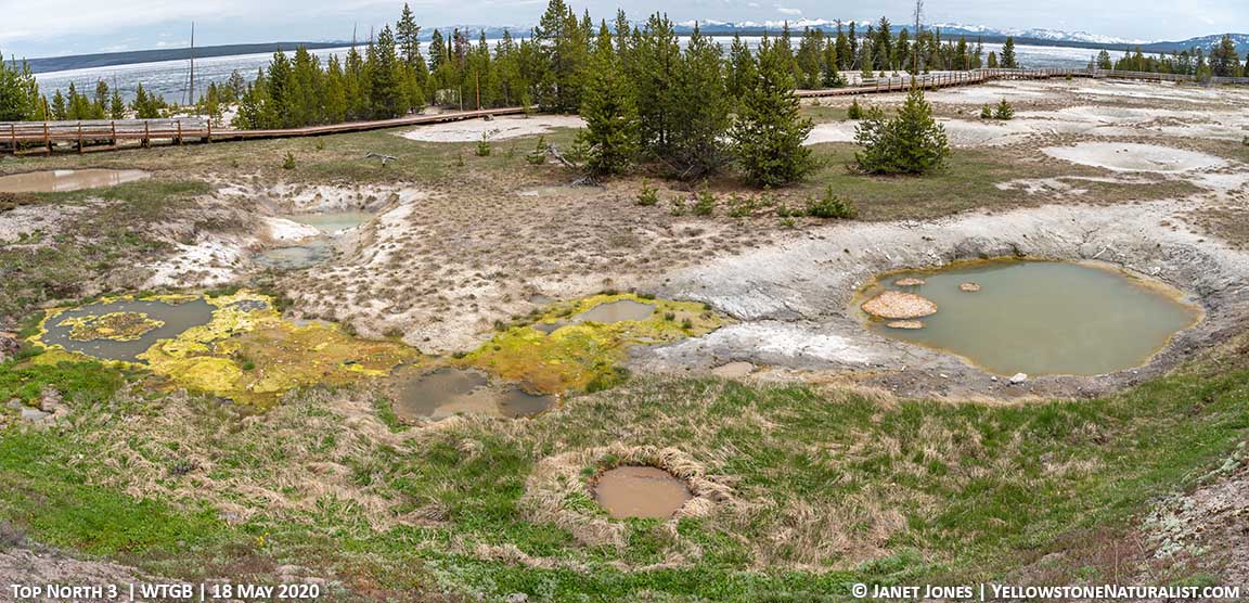 Unnamed Thermal Features in the Top North area of West Thumb Geyser Basin 18 May 2020
