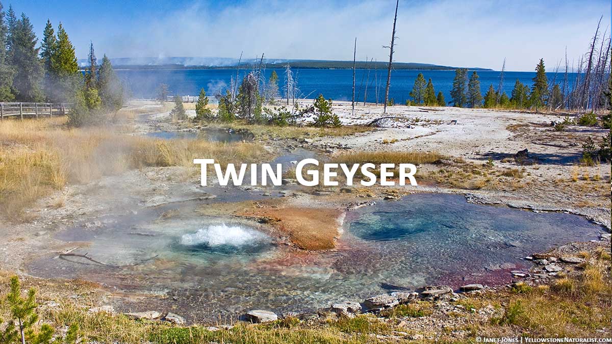 Twin Geyser