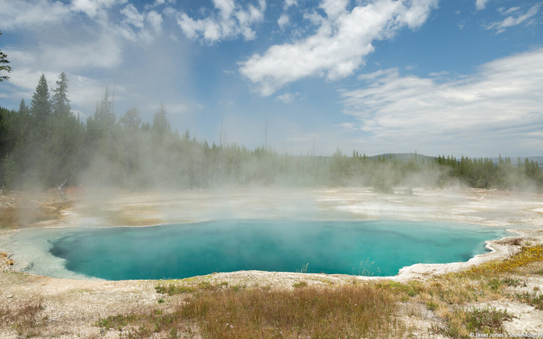 Abyss Pool Hotter Than in Over 30 Years