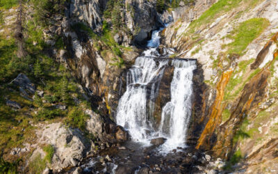 Hikers injured by bear in Yellowstone National Park
